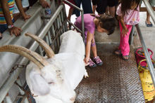 Ryan and Vivian November 2011